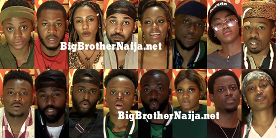 Big Brother Naija 2019 Week 4 Nominated Housemates